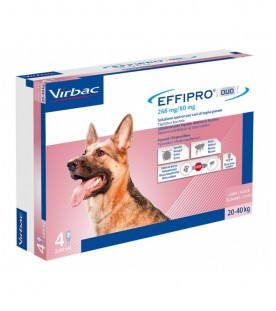 Effipro Duo Cane Large 20-40 kg 4 Pipette SEC01060