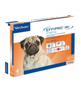 Effipro Duo Cane Small 2-10 kg 4 Pipette SEC01058