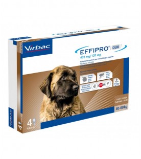 Effipro Duo Cane XLarge 40-60 kg 4 Pipette SEC01061