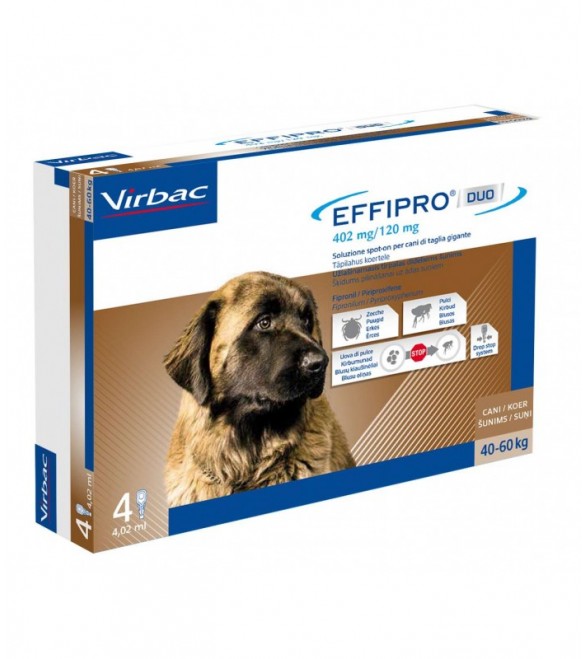 Effipro Duo Cane XLarge 40-60 kg 4 Pipette SEC01061 Effipro Duo Cane XLarge 40-60 kg 4 Pipette SEC01061