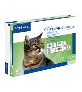 Effipro Duo Gatto 1-6 kg 4 Pipette SEC01057