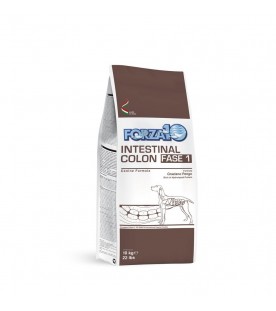 Forza10 Intestinal Colon Fase Uno 10 kg SP00223