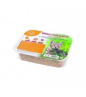 Erba per Gatti SEC01596