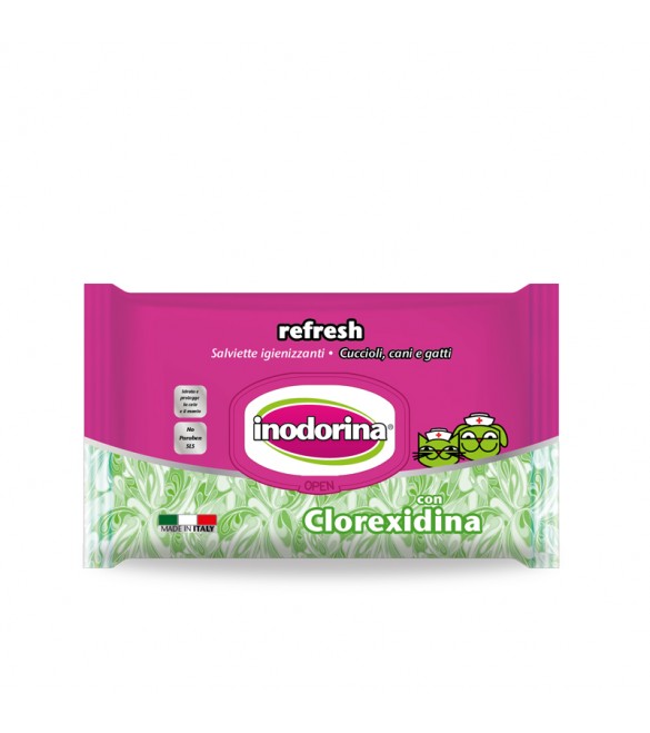 Salviette Inodorina Clorexidina 110 pz. SEC01873 Salviette Inodorina Clorexidina 110 pz. SEC01873