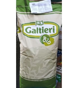 Collare Strangolo in Acciaio 34 cm SEC00650