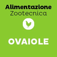 Ovaiole