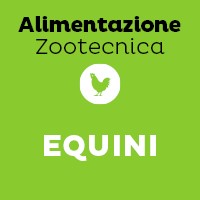 Equini