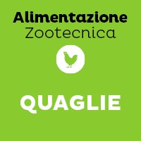 Quaglie