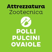 Polli-Pulcini-Ovaiole