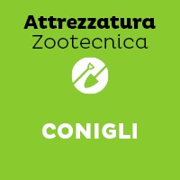 Conigli