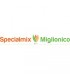 Specialmix Miglionico s.r.l.