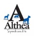 Althea