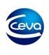 Ceva